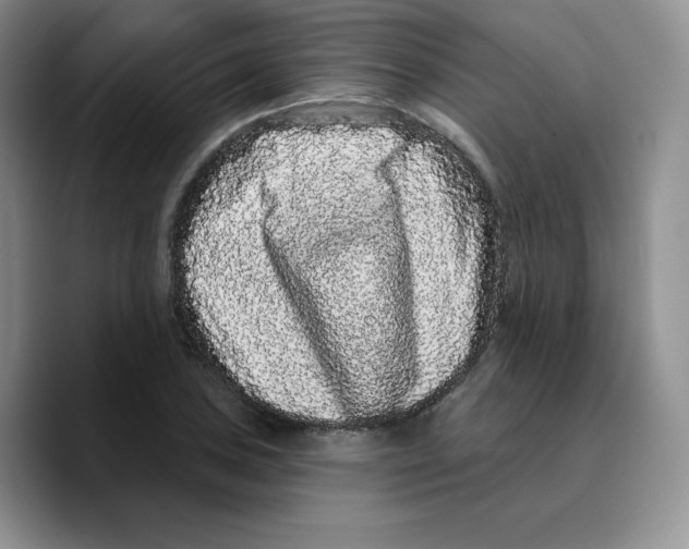 X0000089741027200707201857