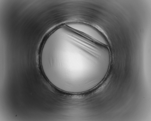 X0000089741029200707201858