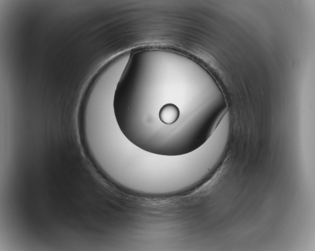 X0000089741030200707201858