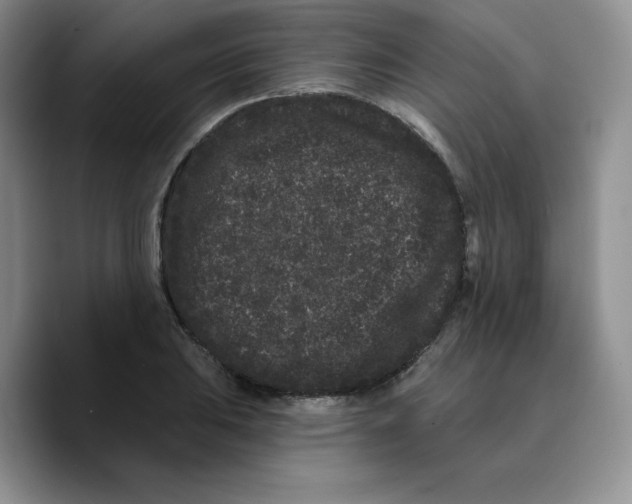 X0000089741031200707201858