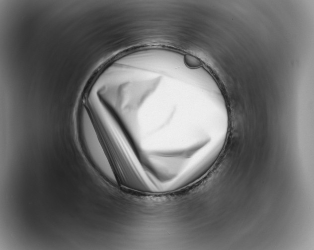 X0000089741032200707201858