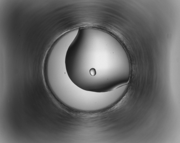 X0000089741034200707201858