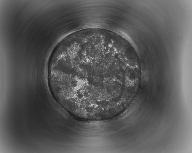 X0000089741035200707201858