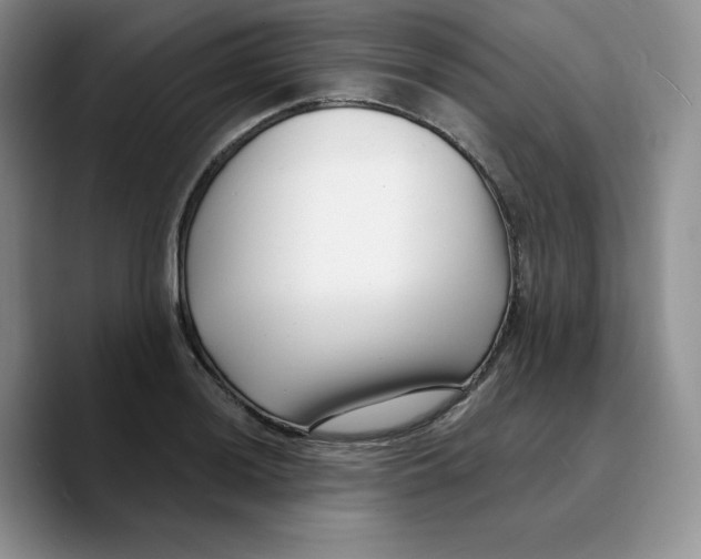 X0000089741036200707201858