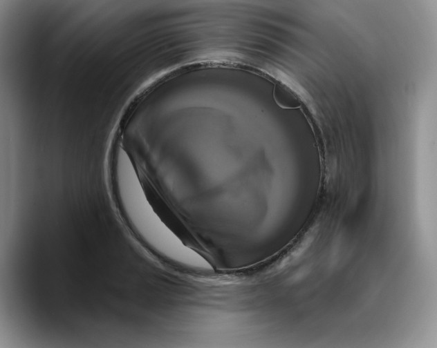 X0000089741037200707201858