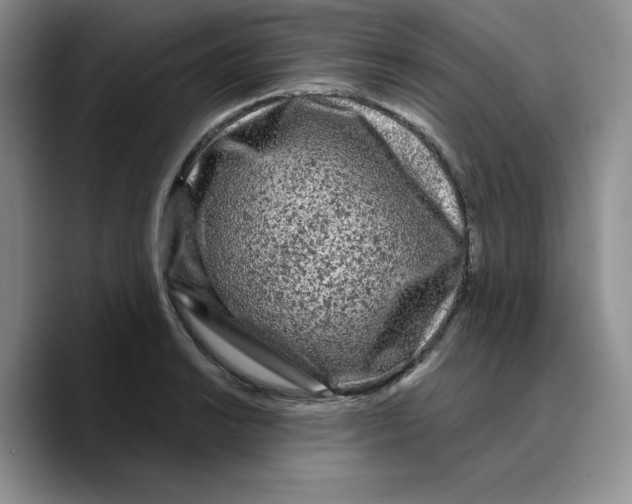X0000089741038200707201858