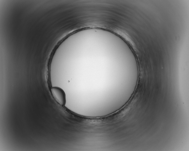 X0000089741040200707201858