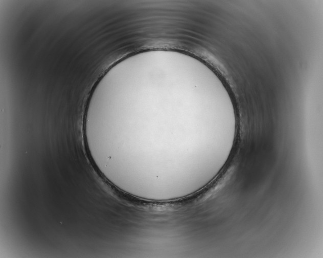 X0000089741041200707201858
