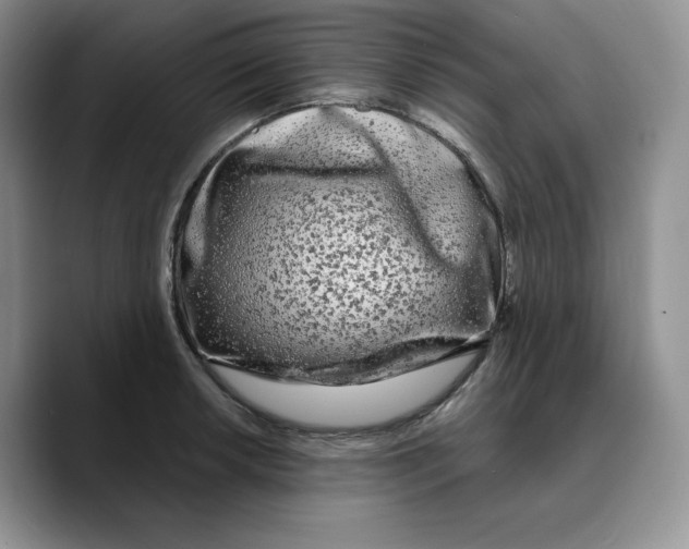 X0000089741042200707201858