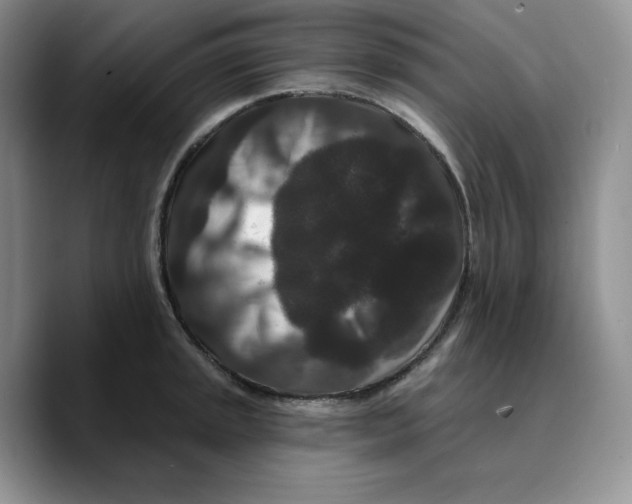 X0000089741045200707201858