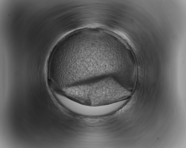 X0000089741046200707201858