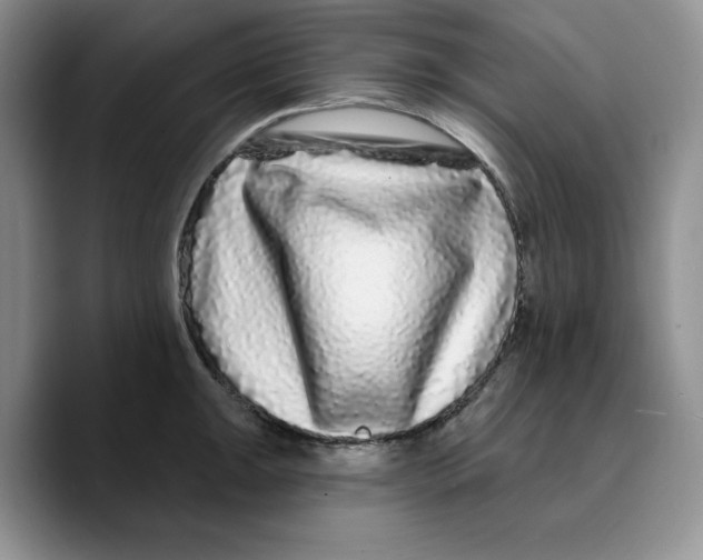 X0000089741047200707201858