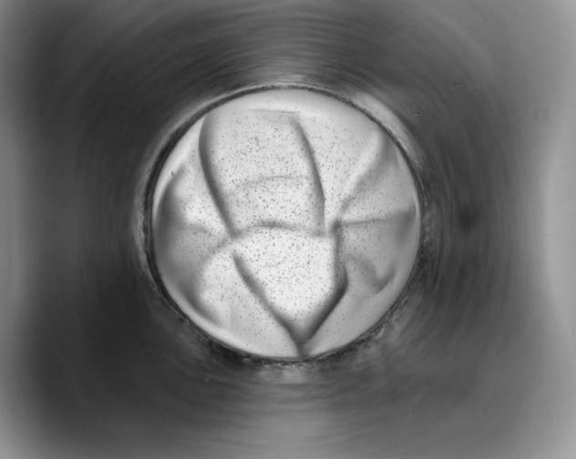X0000089741051200707201858