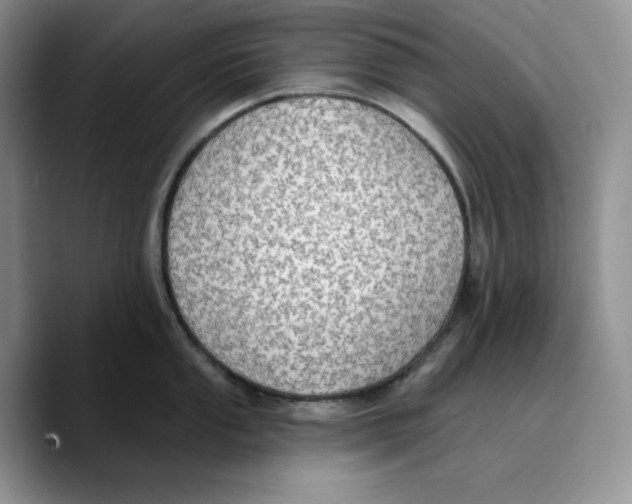 X0000089741053200707201858