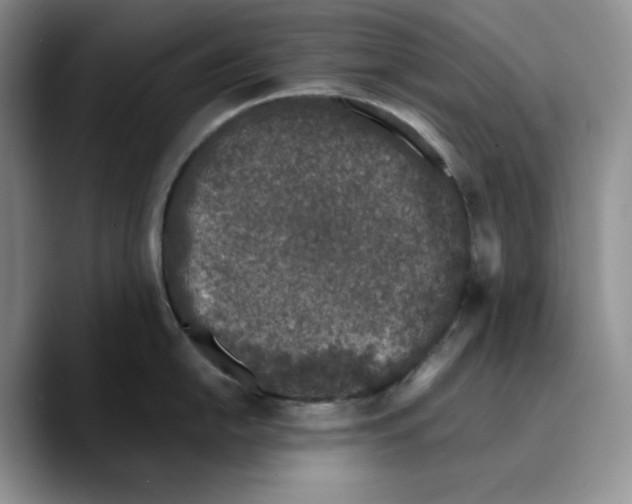 X0000089741054200707201858