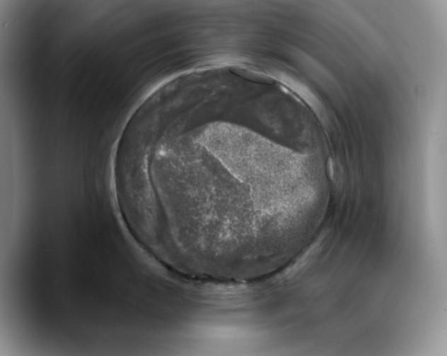 X0000089741055200707201858