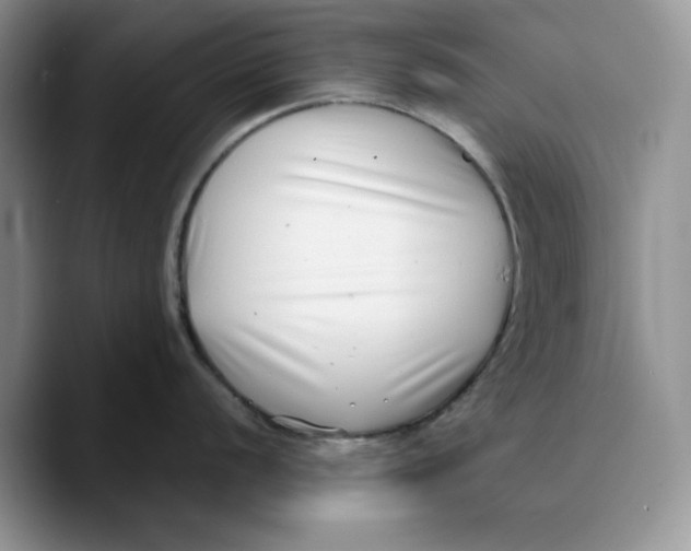 X0000089741056200707201858