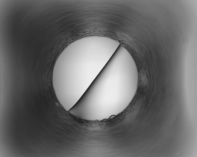 X0000089741060200707201857
