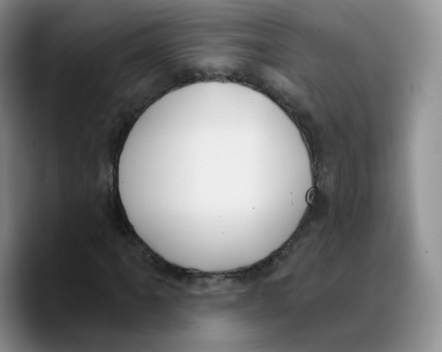X0000089741061200707201857