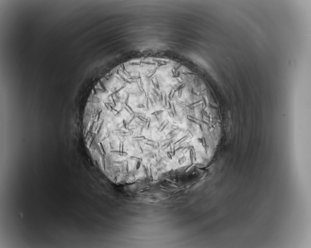 X0000089741063200707201857