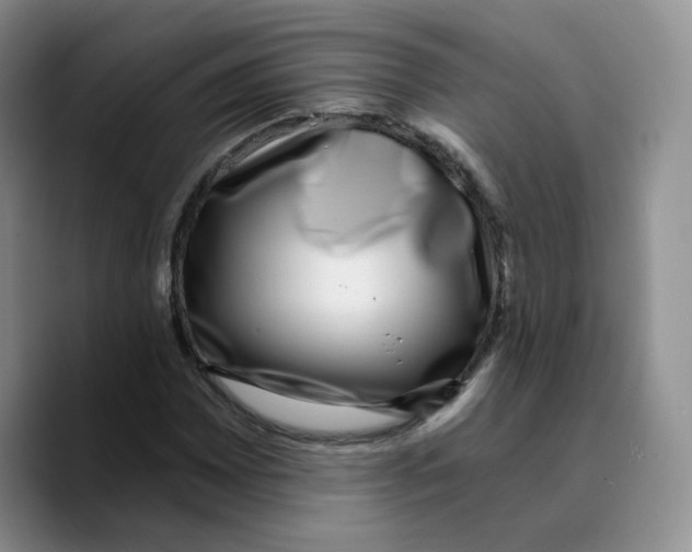 X0000089741065200707201857