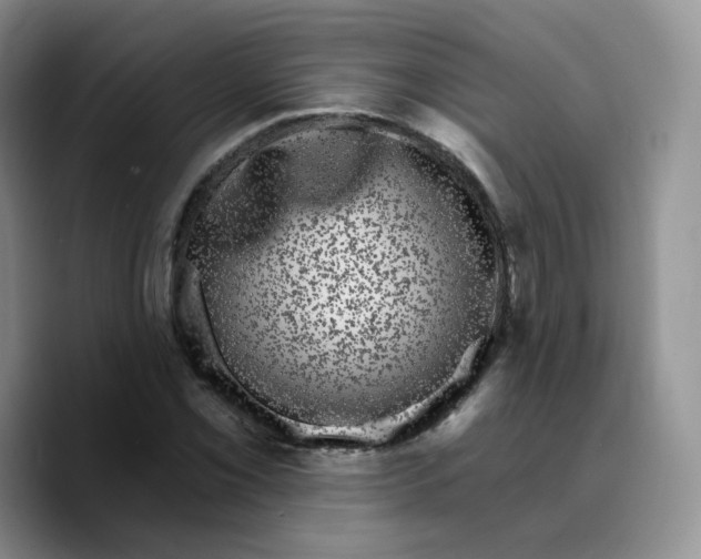 X0000089741069200707201857