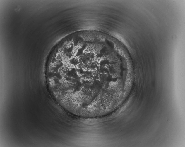 X0000089741071200707201857