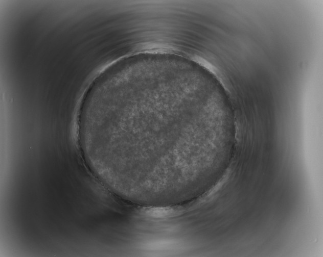 X0000089741074200707201857