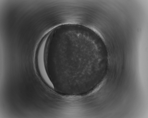 X0000089741077200707201857
