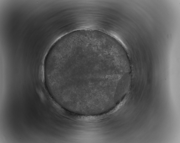 X0000089741079200707201857