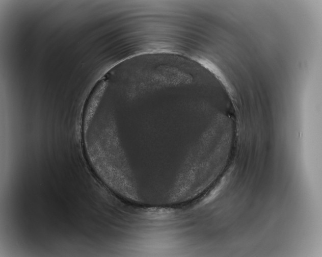 X0000089741081200707201857