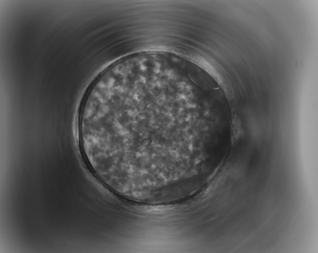 X0000089741084200707201857