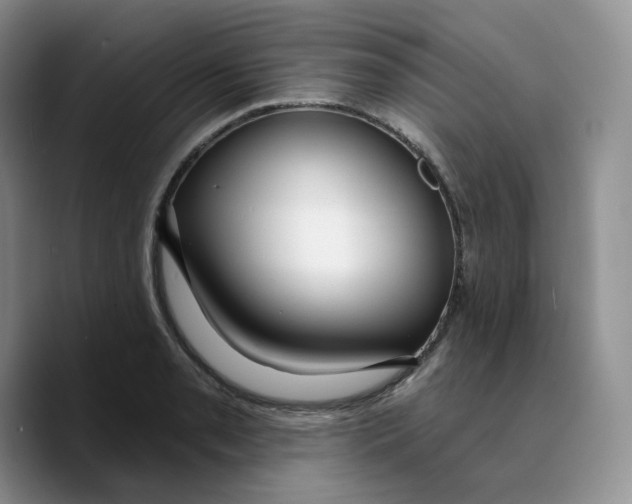 X0000089741085200707201857