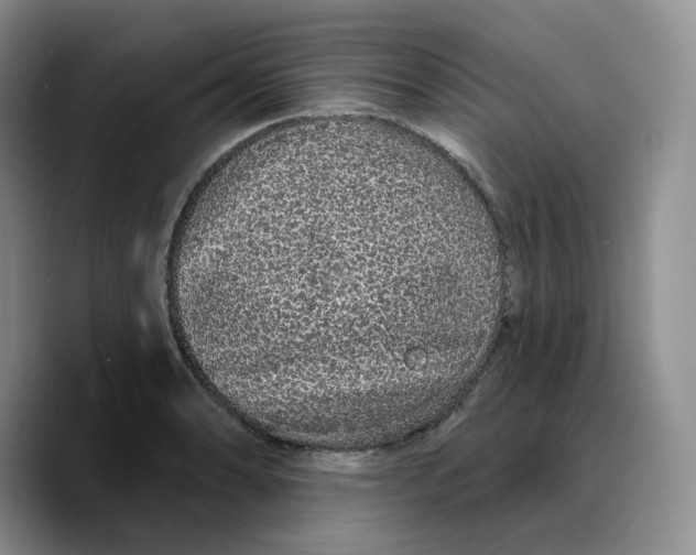 X0000089741086200707201857