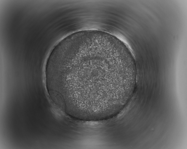 X0000089741088200707201857