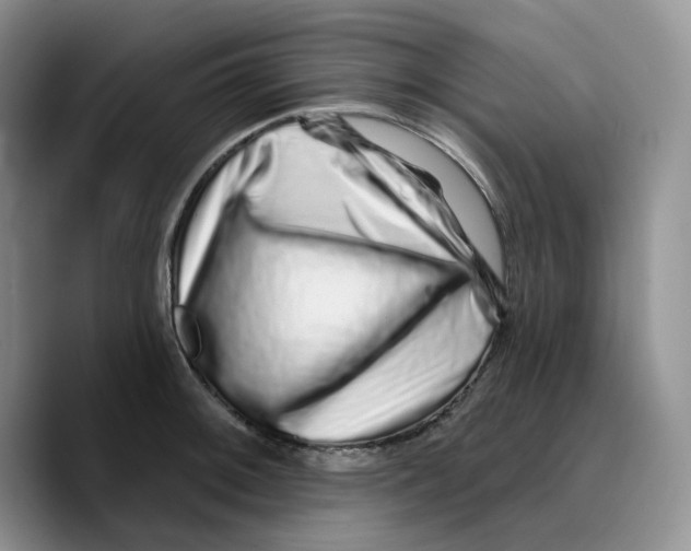 X0000089741092200707201857