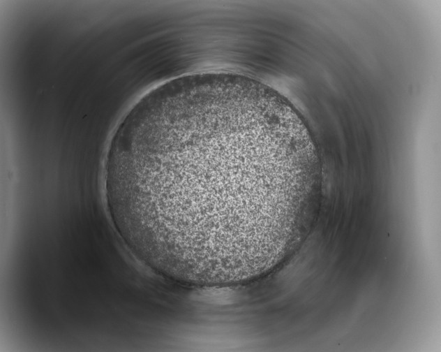 X0000089741094200707201857