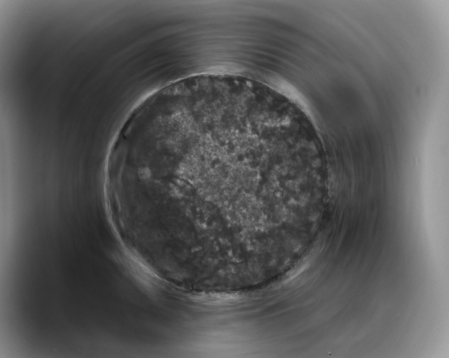 X0000089741095200707201857