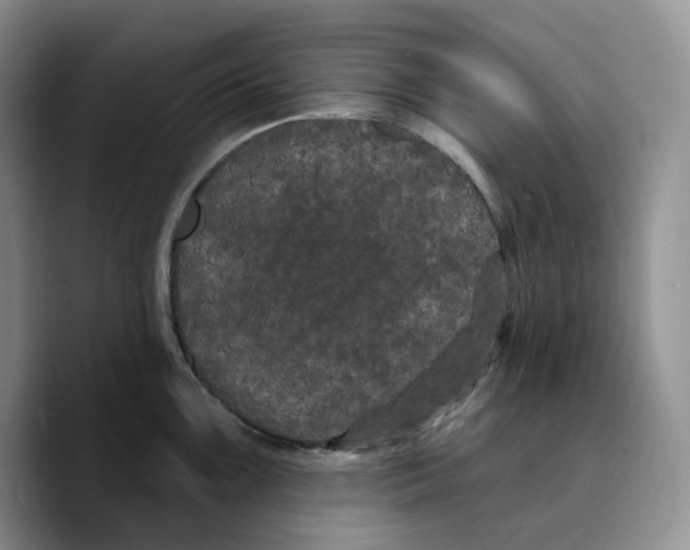 X0000089741099200707201857