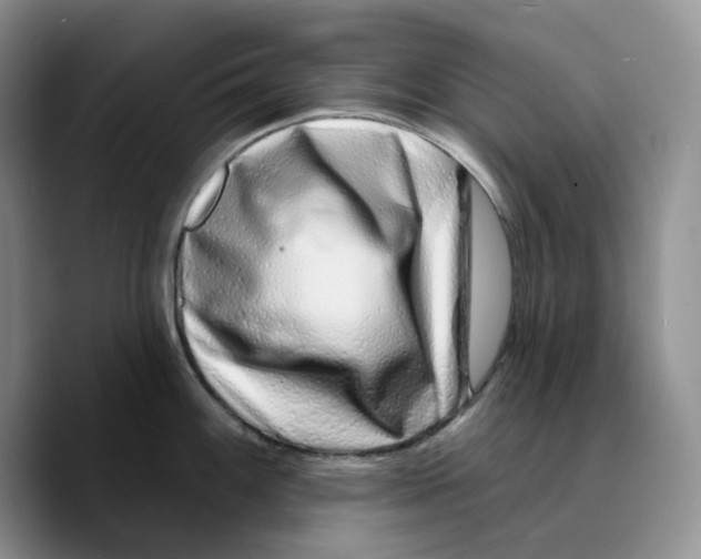 X0000089741100200707201857