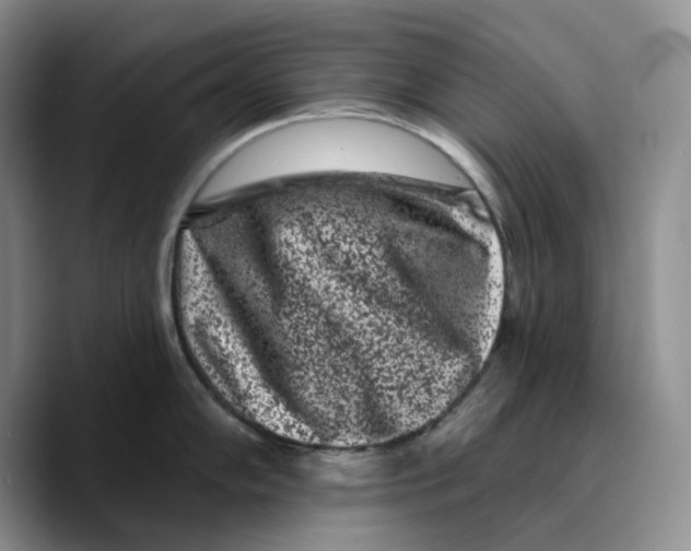 X0000089741102200707201857