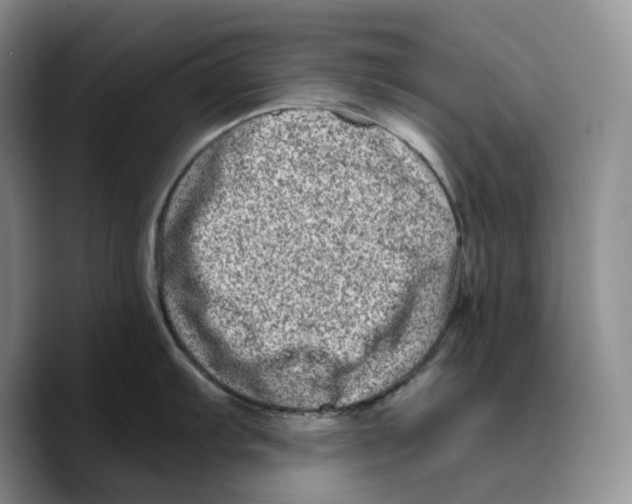 X0000089741103200707201857