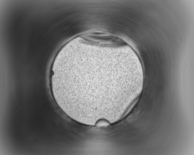 X0000089741104200707201857