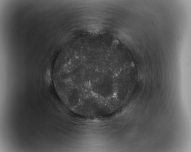 X0000089741106200707201856