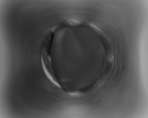 X0000089741108200707201856