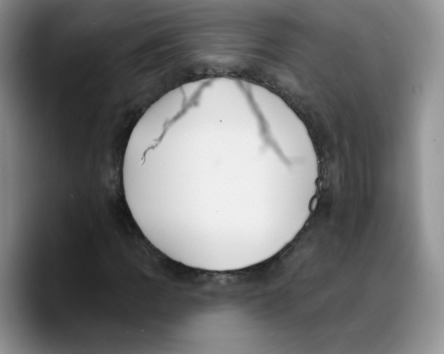 X0000089741109200707201856