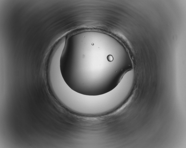 X0000089741114200707201856