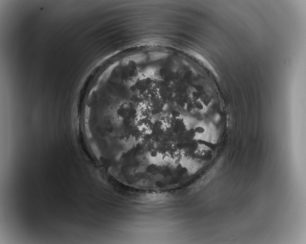 X0000089741117200707201856