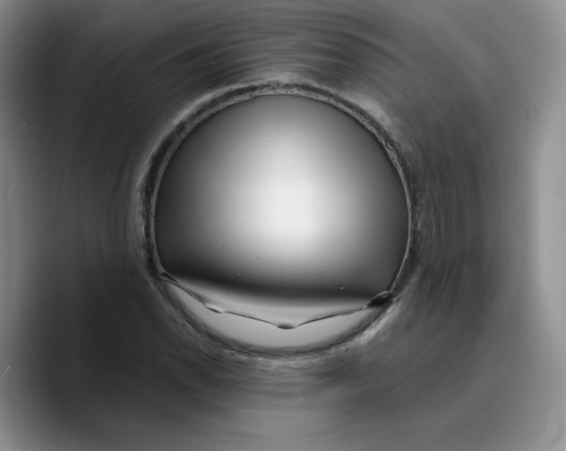 X0000089741118200707201856