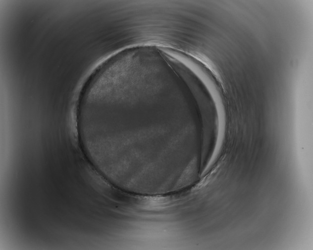 X0000089741120200707201856